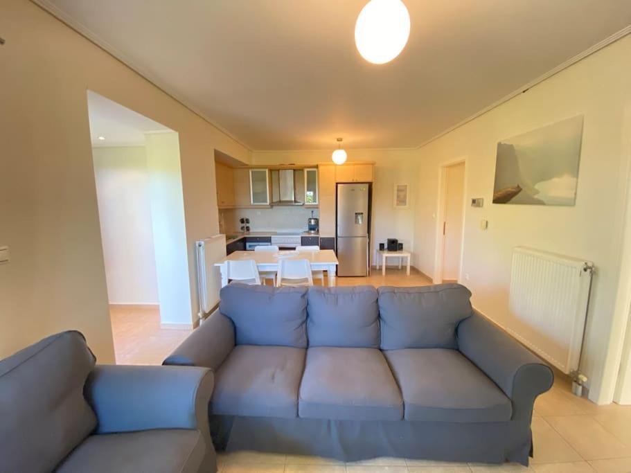 Cozy 2 Room Apartment With Garden Near Athens Air-Port Ártemida Kültér fotó